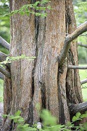 世纪之谜解开？DF解释为啥PS5玩游戏经常比XSX更快